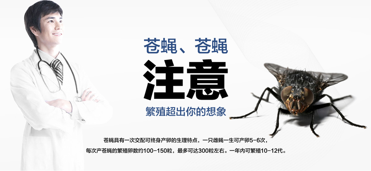 老鼠聰明超出你想象。